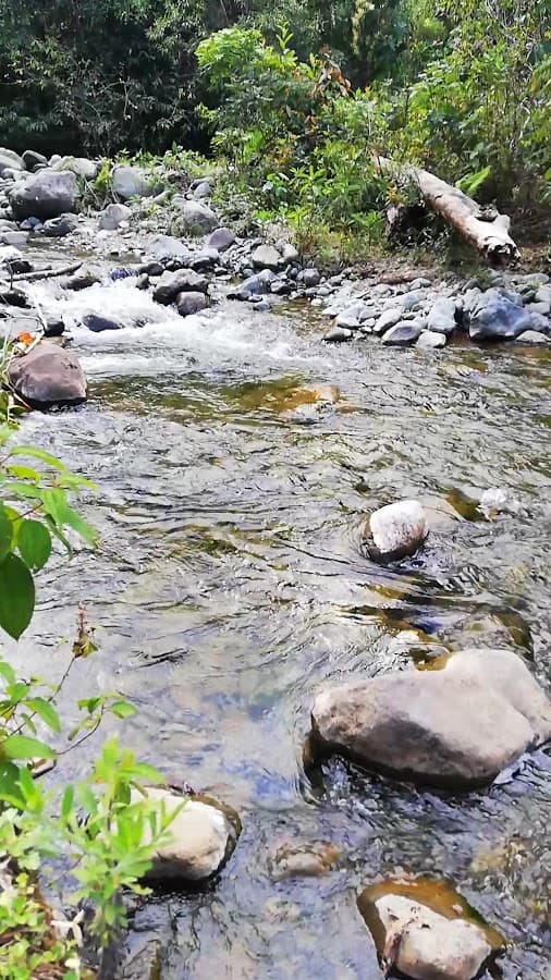 Parque Nacional Natural Farallones de Cali — foto