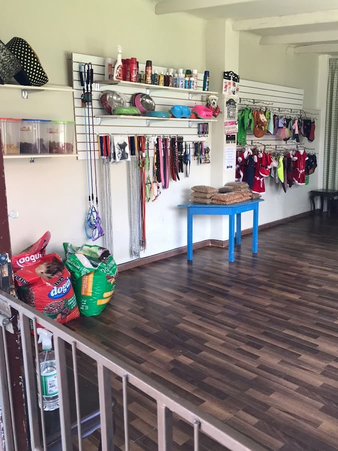 EstetiCan Hotel y Peluquería Canina — foto