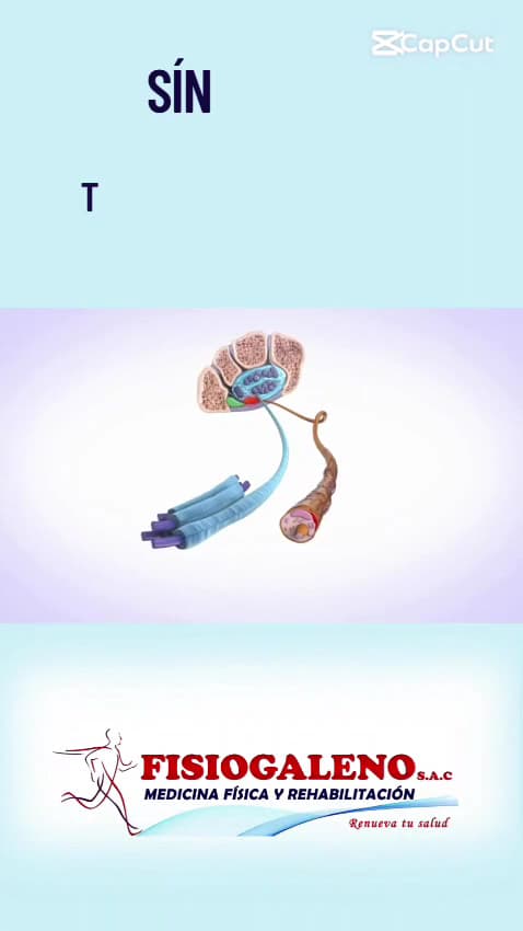FISIOGALENO (Medicina Física y Rehabilitación) — foto