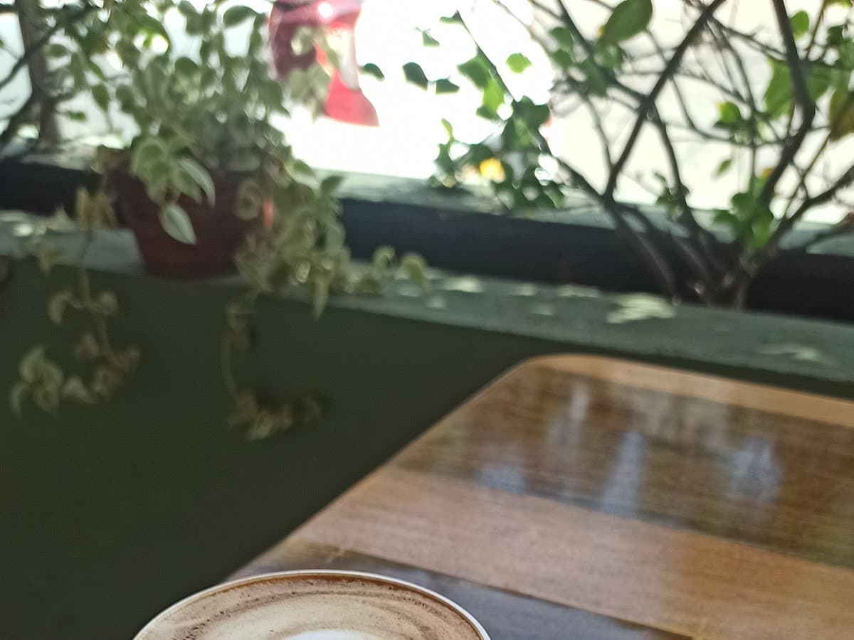 MACA — foto