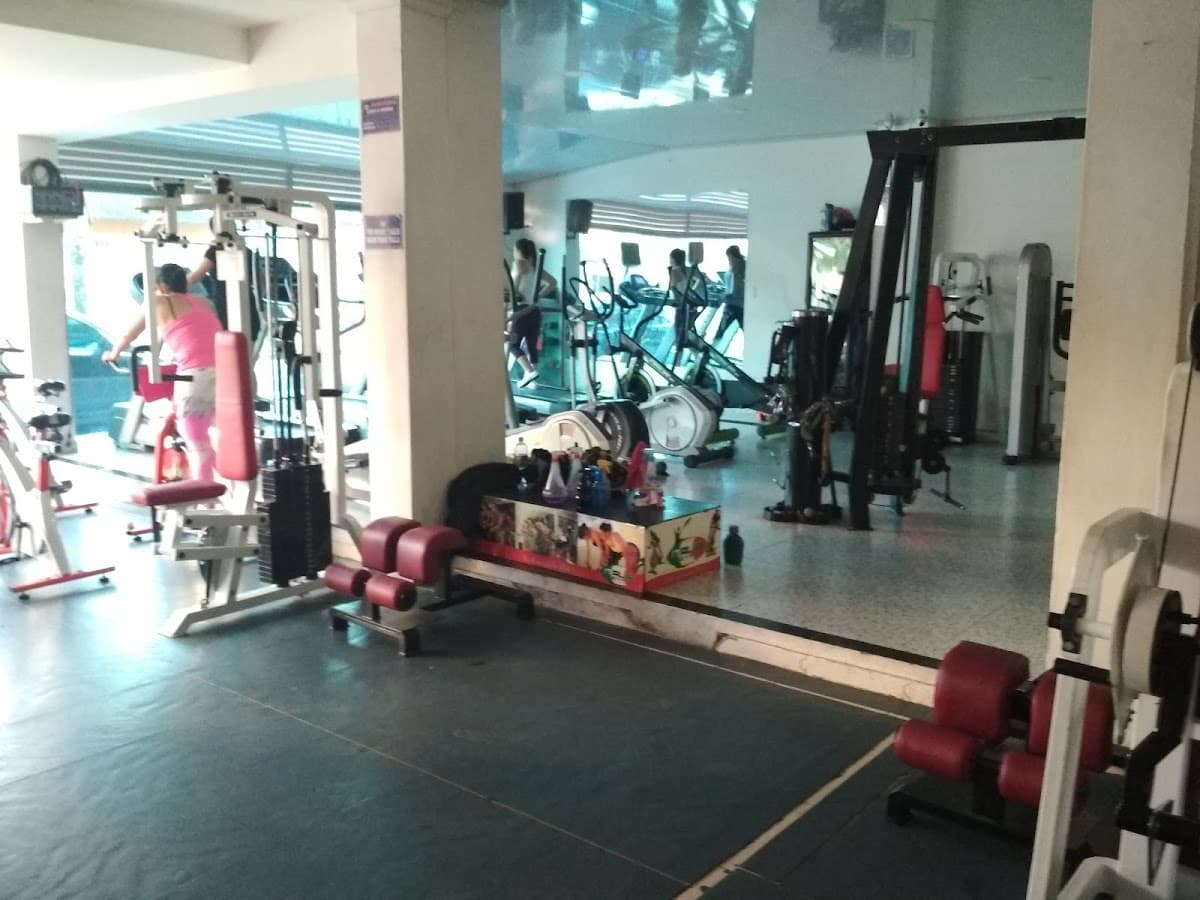 Gym italia — foto