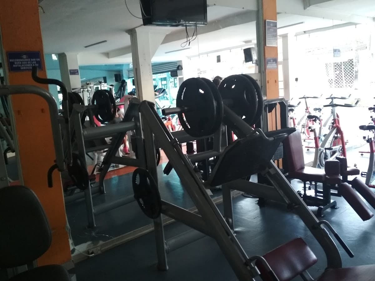 Gym italia — foto