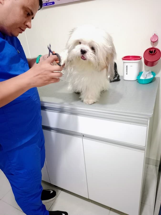 Clínica Veterinaria Don Perro — foto