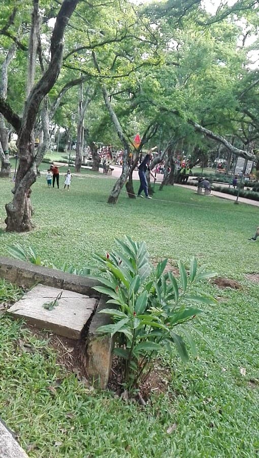 Parque San Pío — foto