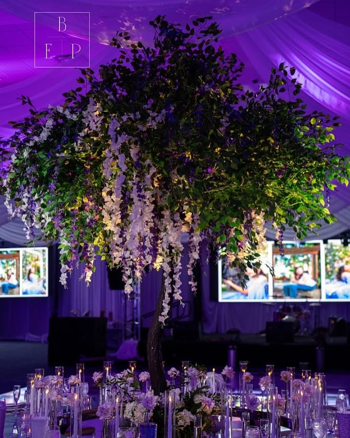 Boutique Event Planners - Fort Lauderdale — foto