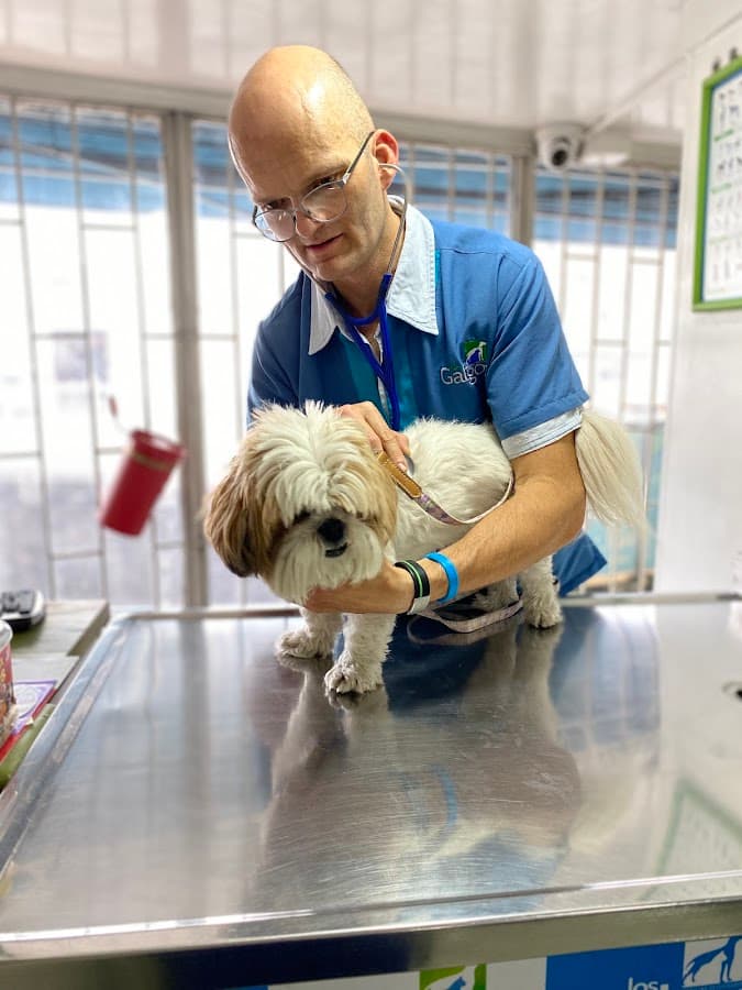 Clinica Veterinaria Los Galgos — foto