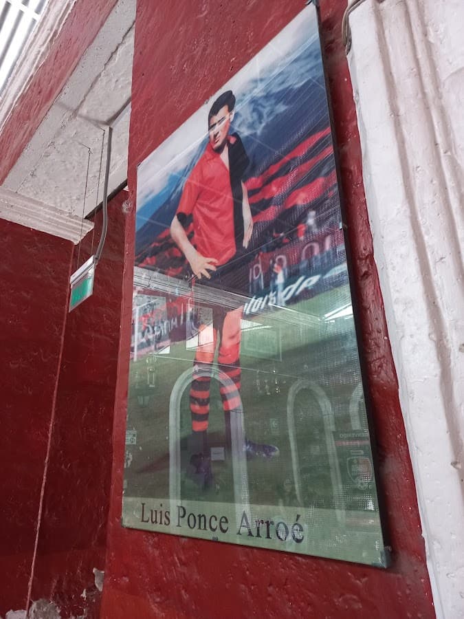 Tienda Rojinegra