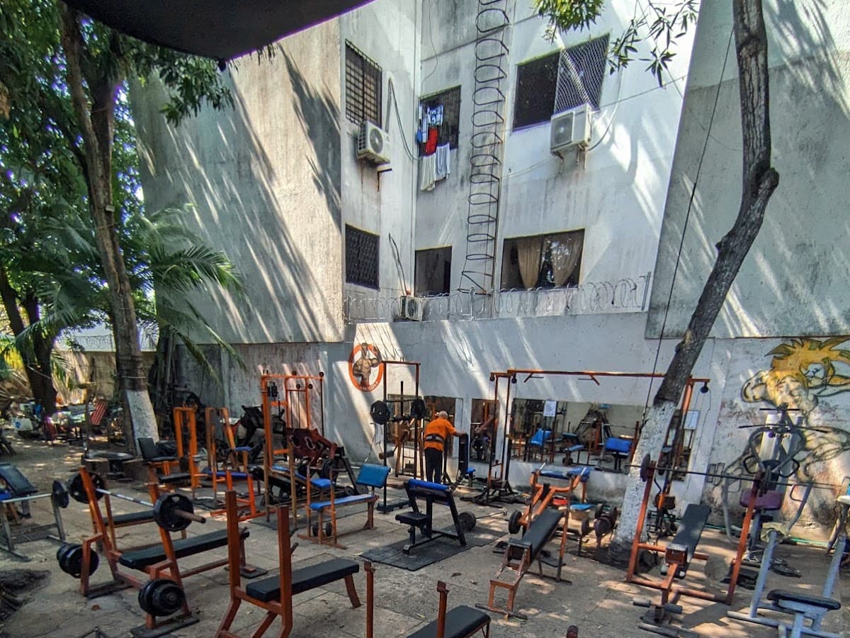 Jarol Gym - Mr. Playa