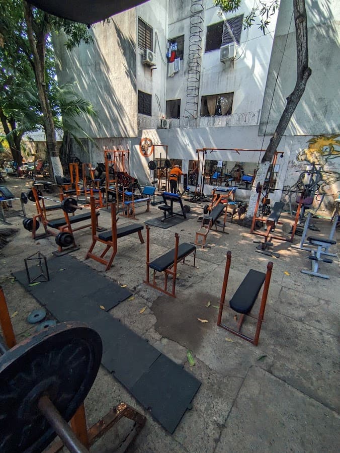 Jarol Gym - Mr. Playa — foto