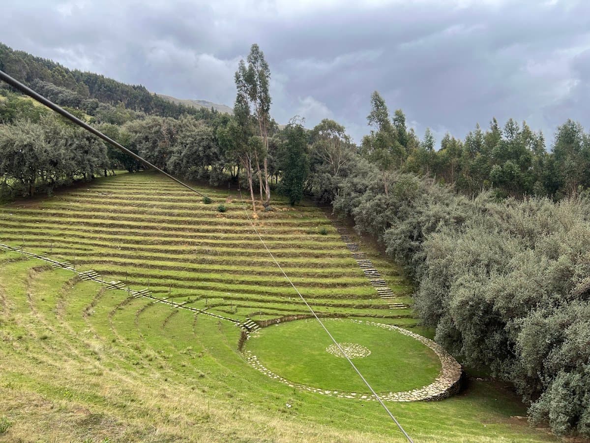 Bosque Dorado