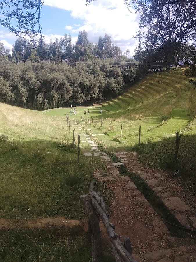 Bosque Dorado — foto