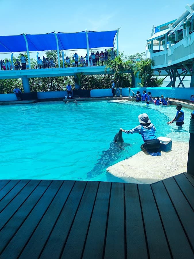 Tu Agencia De Viajes — foto