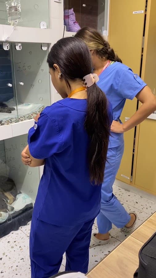 San Satri - Clínica e Hospital Veterinário | Emergência 24H — foto