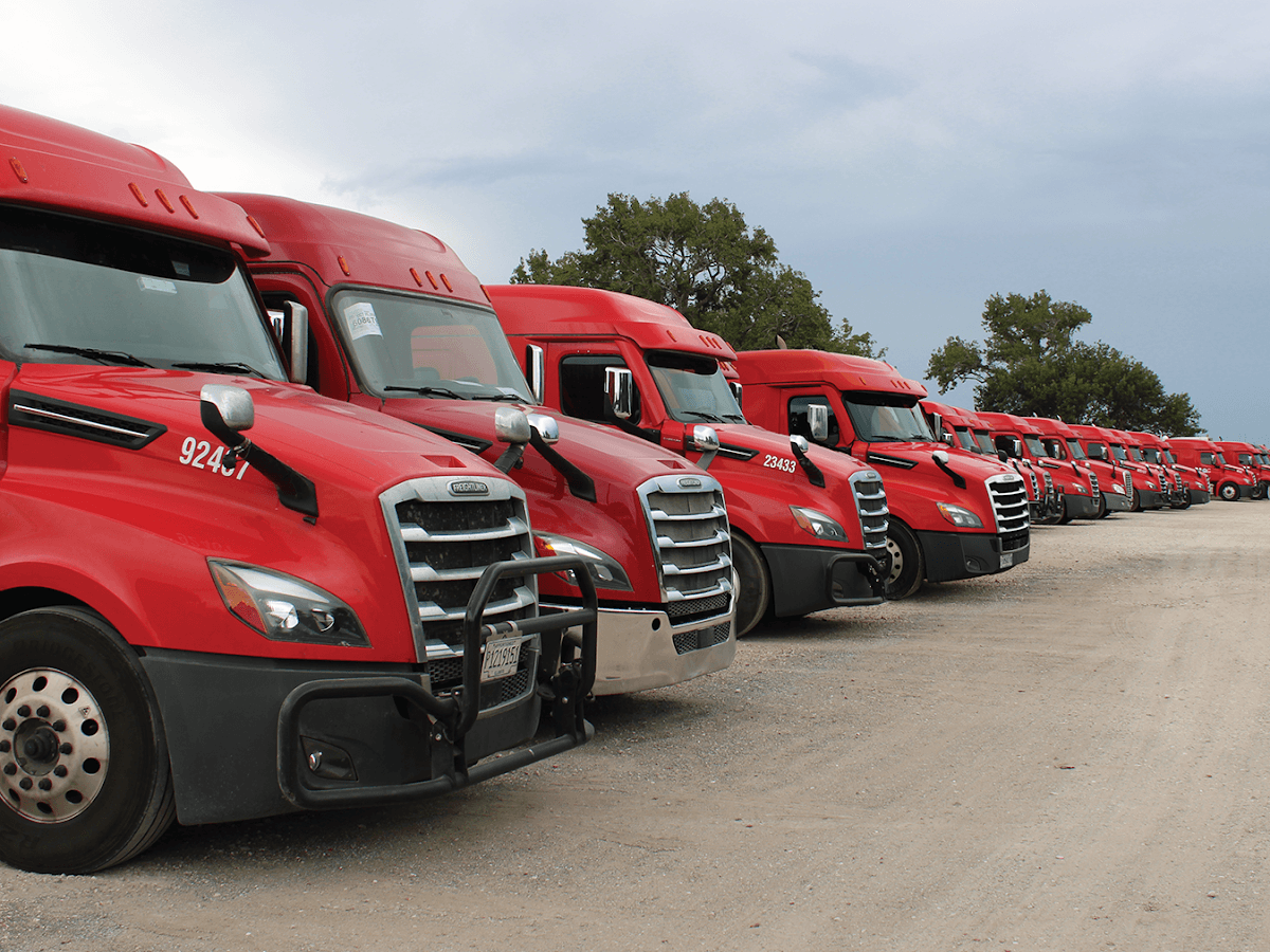 Quality Logistics Solutions — foto
