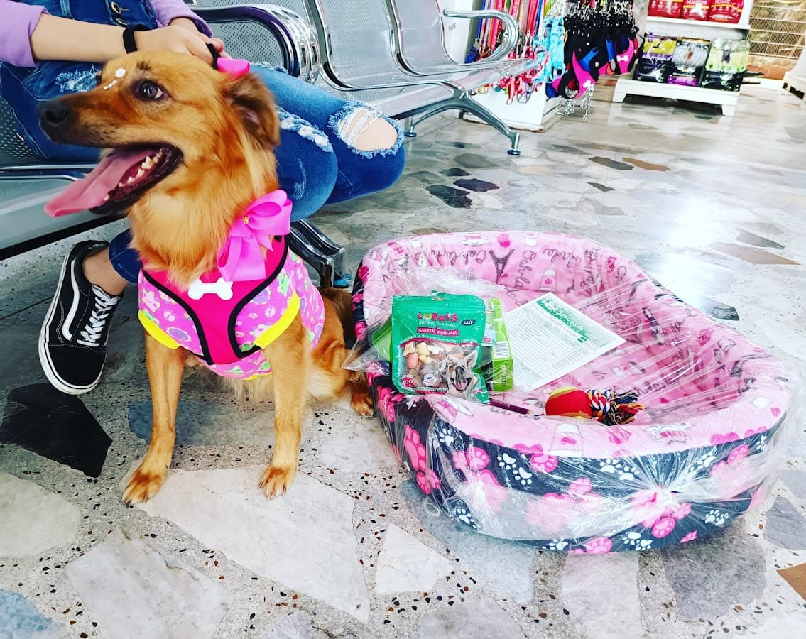 Sabuesos — foto