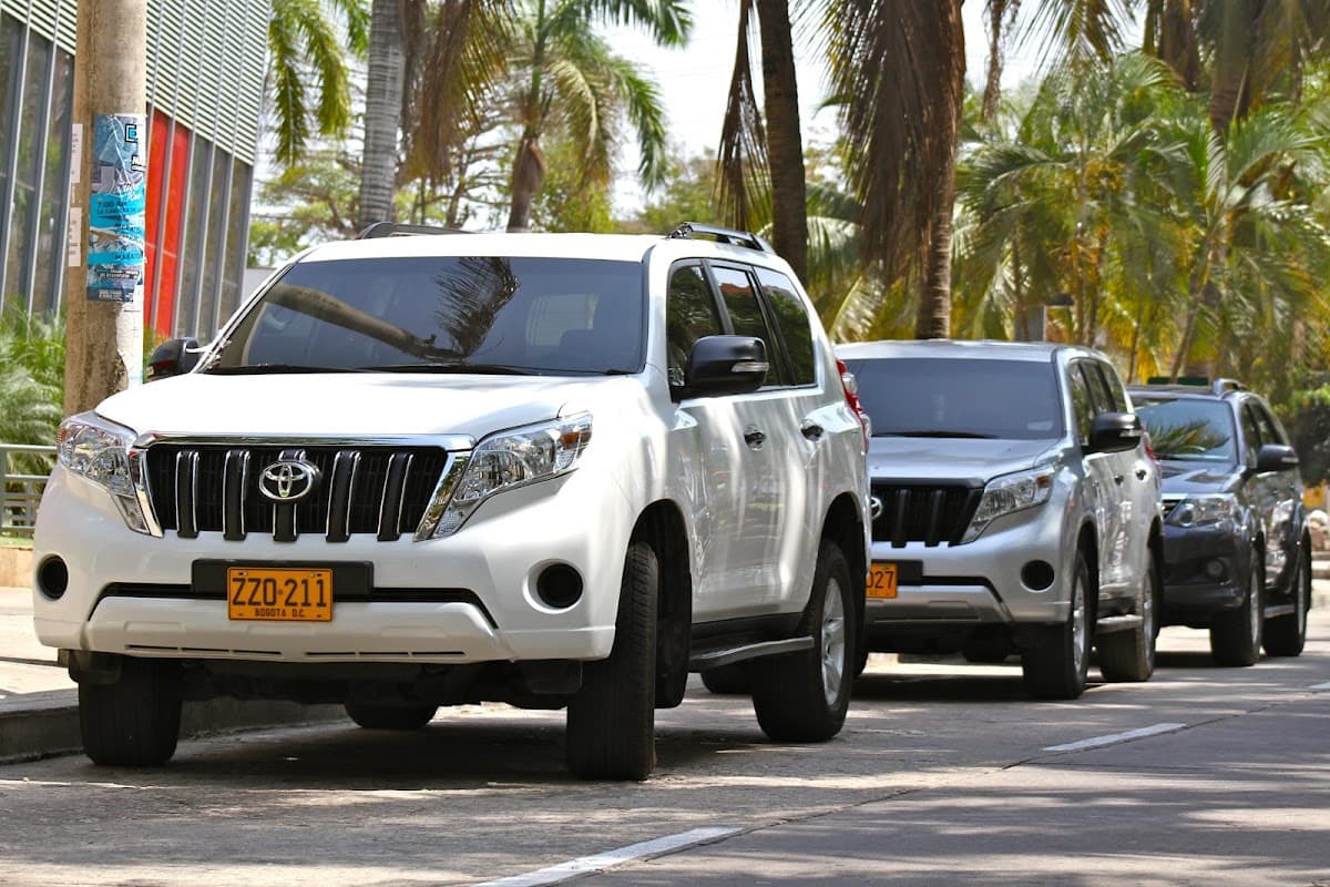 AVS DEL CARIBE