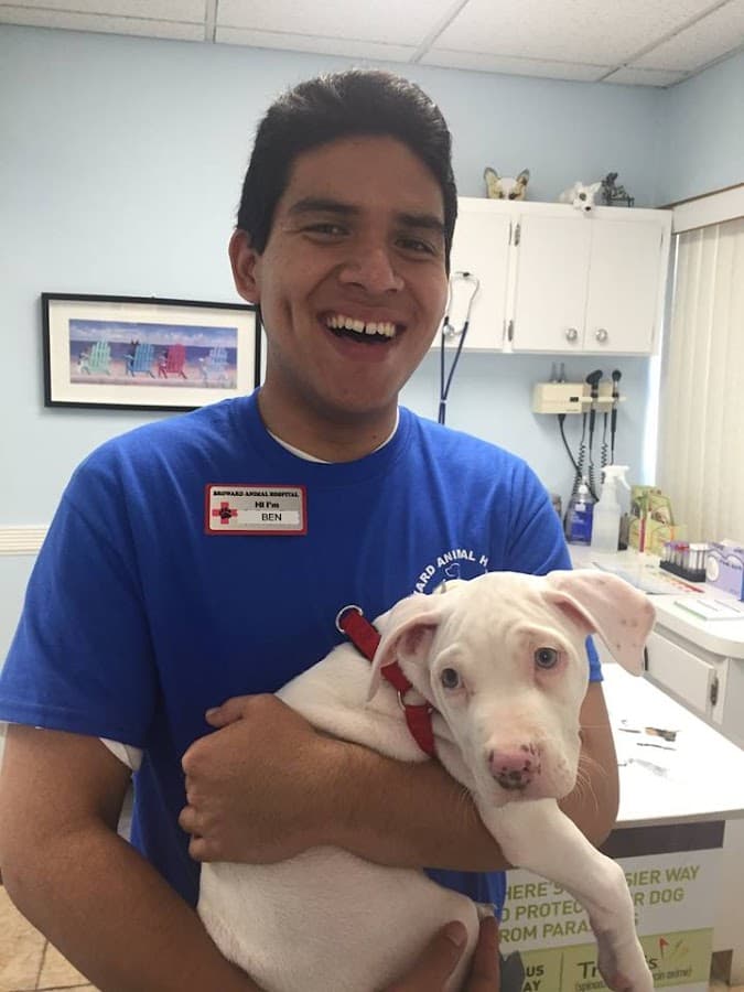 Broward Animal Hospital, Inc. — foto