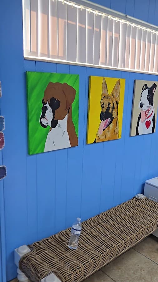 Broward Animal Hospital, Inc. — foto