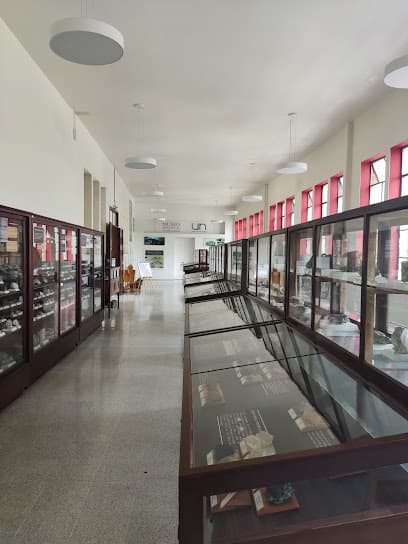 Museo De Geociencias — foto