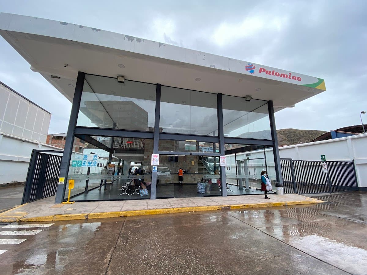 Empresa de Transportes Wari Palomino