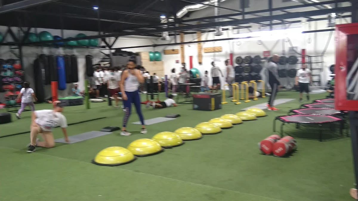 Gimnasio Taurus Samanes