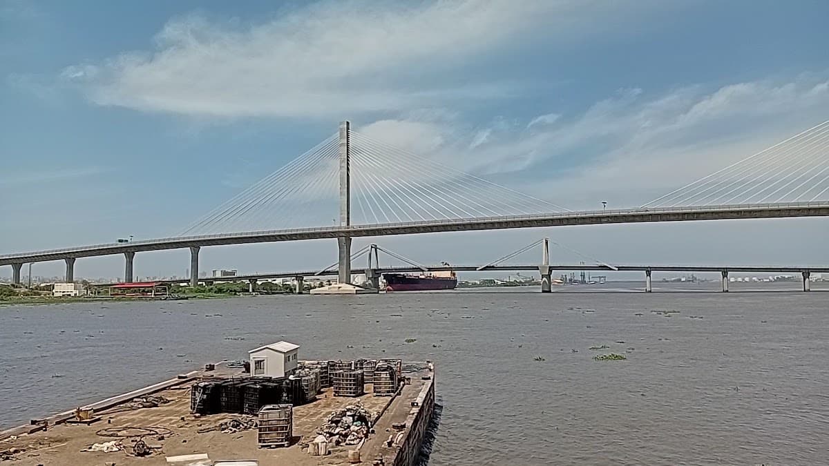 Puente Atirantado Pumarejo — foto
