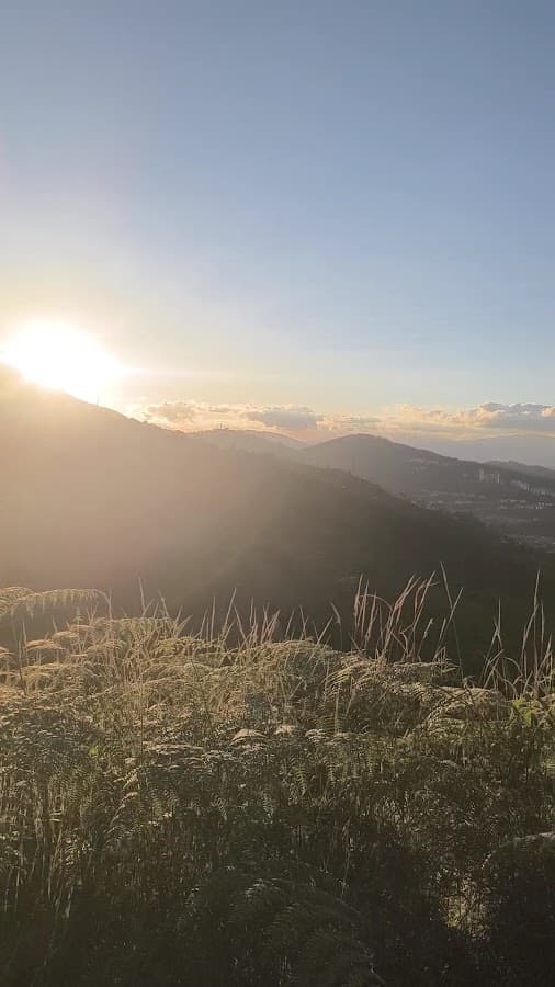 Clover Venezuela — foto