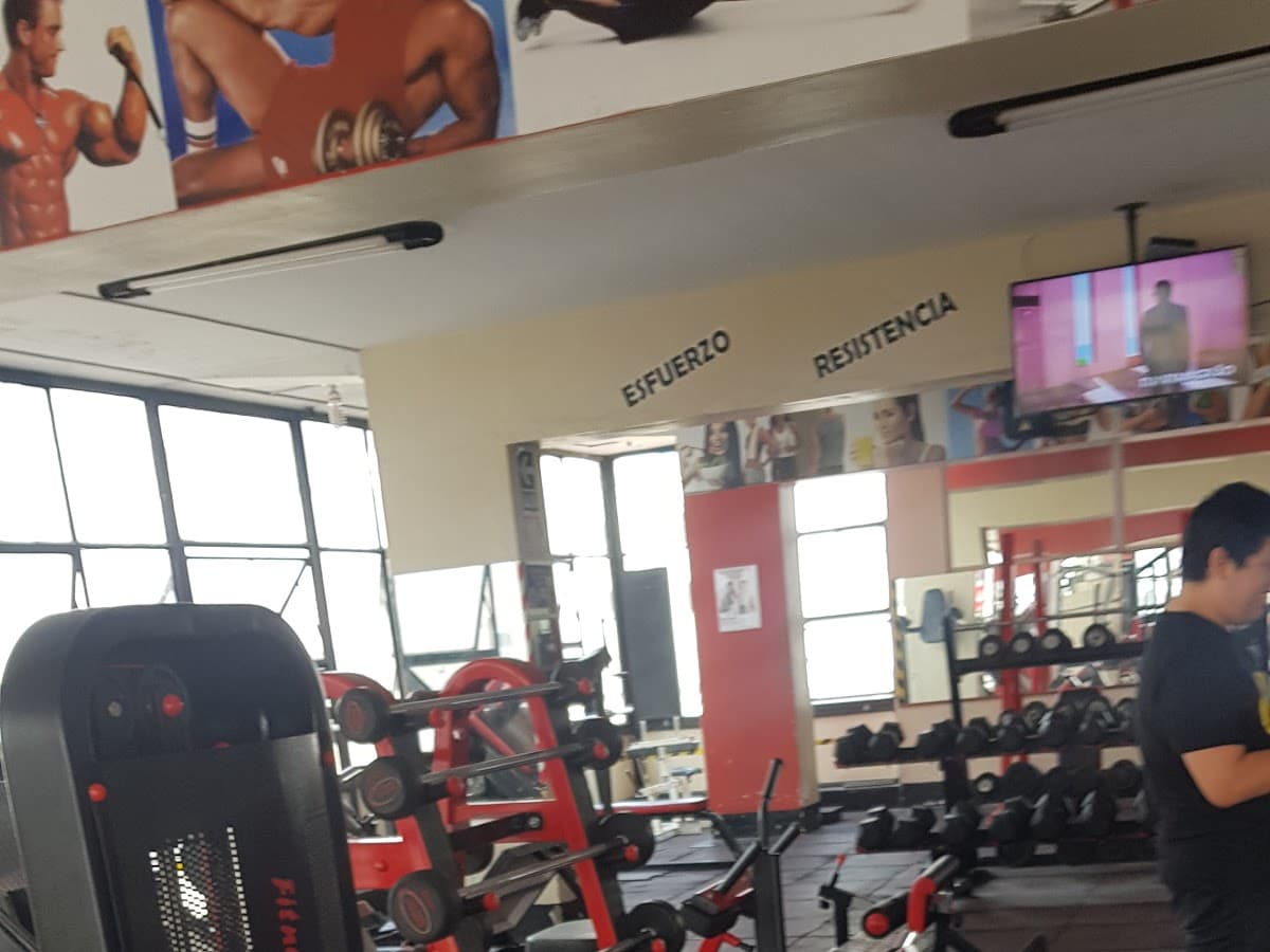 Gimnasio Club Apolo Gym