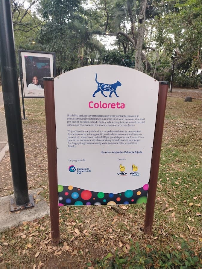 Parque De Las Gatas — foto