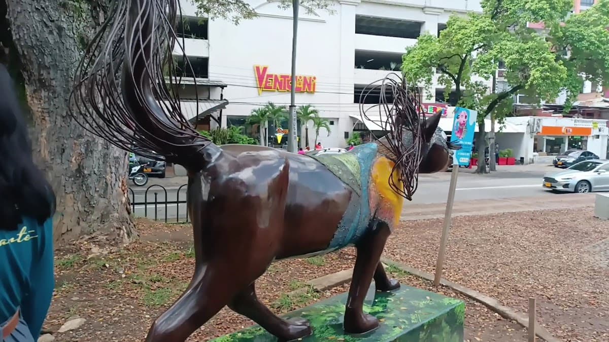 Parque De Las Gatas — foto
