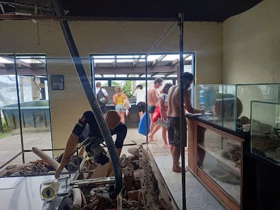 Museu do Naufrágio. ONG PAS. Projeto de arqueologia subaquática