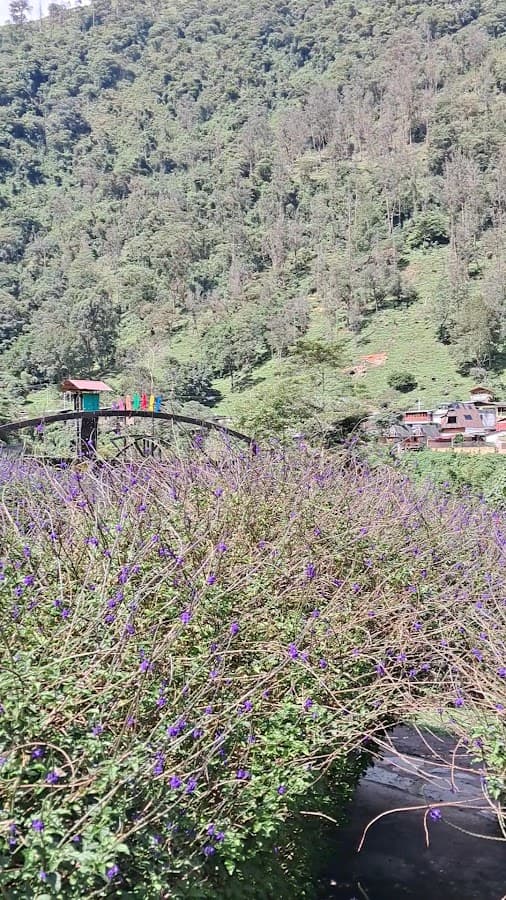 Parque Ecoturistico Y Extremo YAGUARE — foto