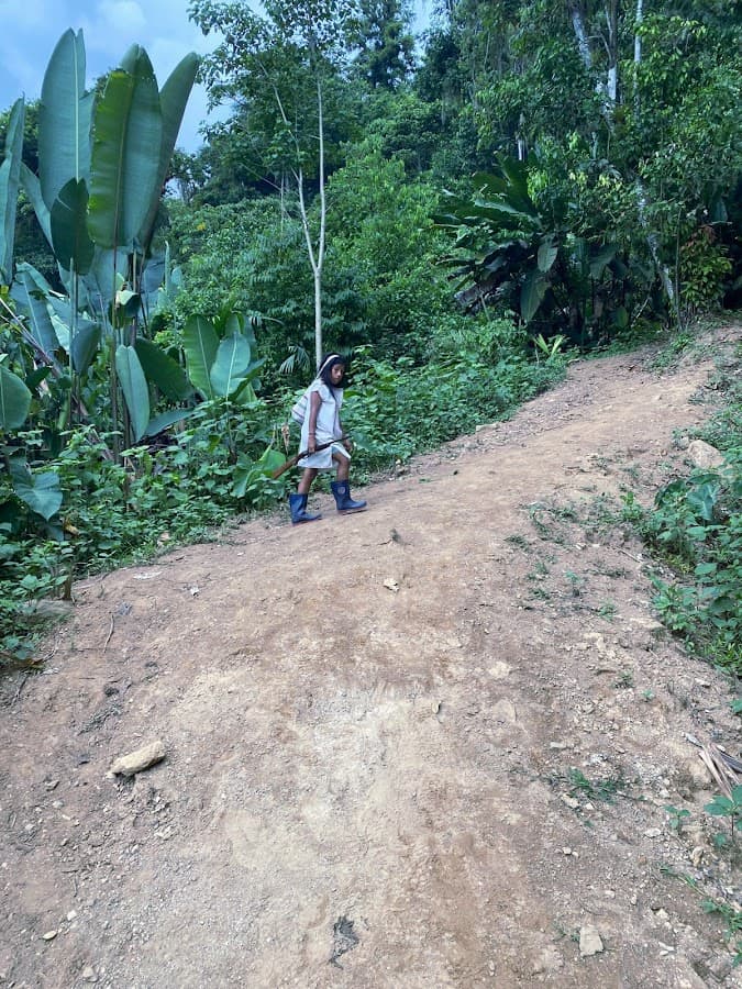 Ciudad Perdida Teyuna - Lost City Trek Colombia — foto