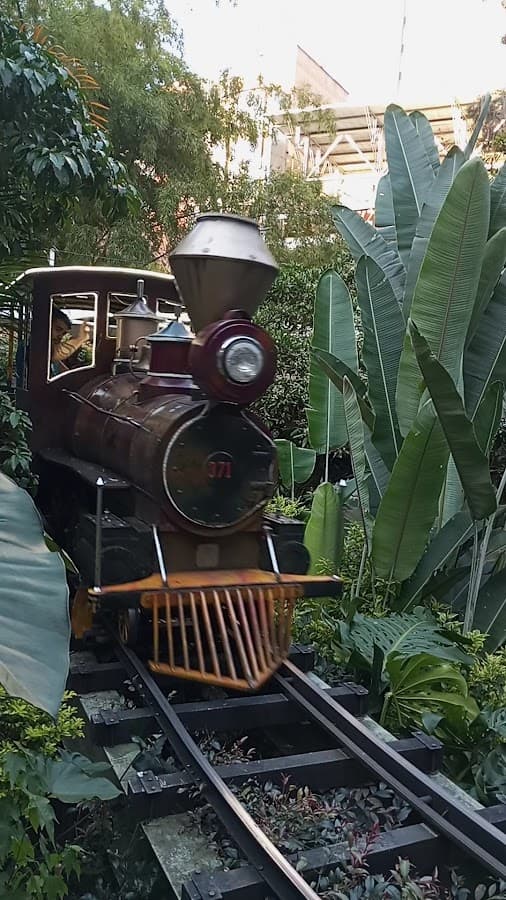 Parque de Diversiones El Tesoro — foto