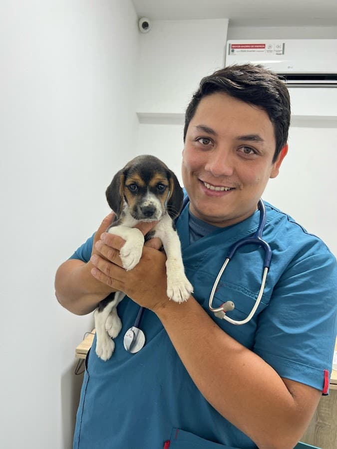 Vet salud clínica veterinaria