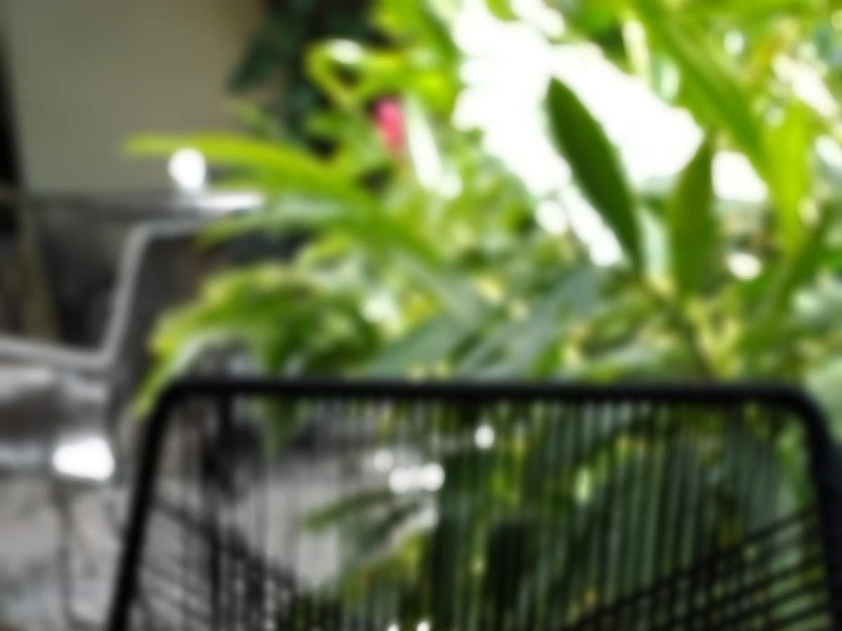 Sexto Sentido Café — foto