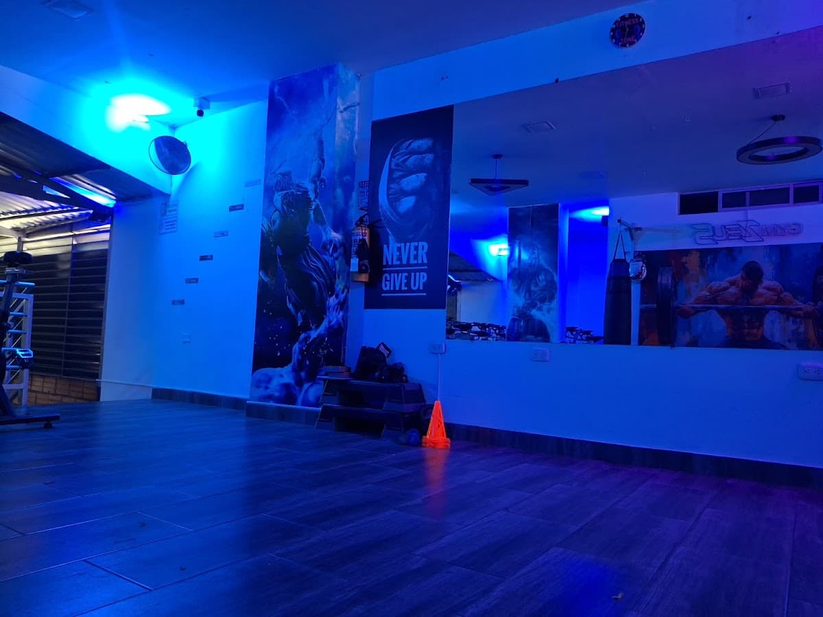 GYM ZEUS — foto