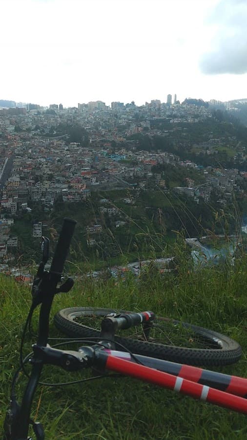 Mirador Jardín del Valle — foto
