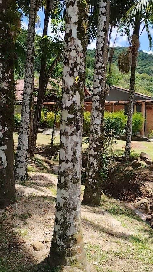 Recanto Raízes — foto