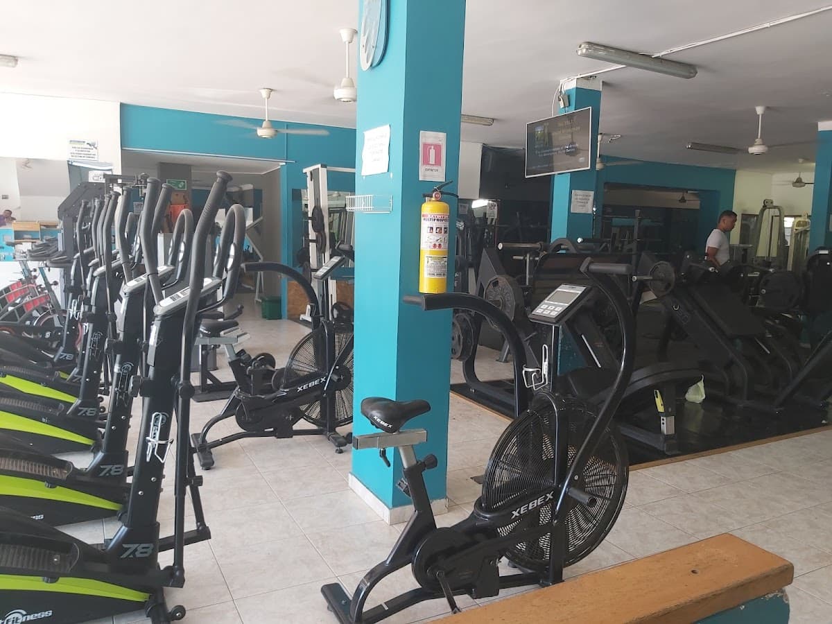 CMD SPORT TOP GYM