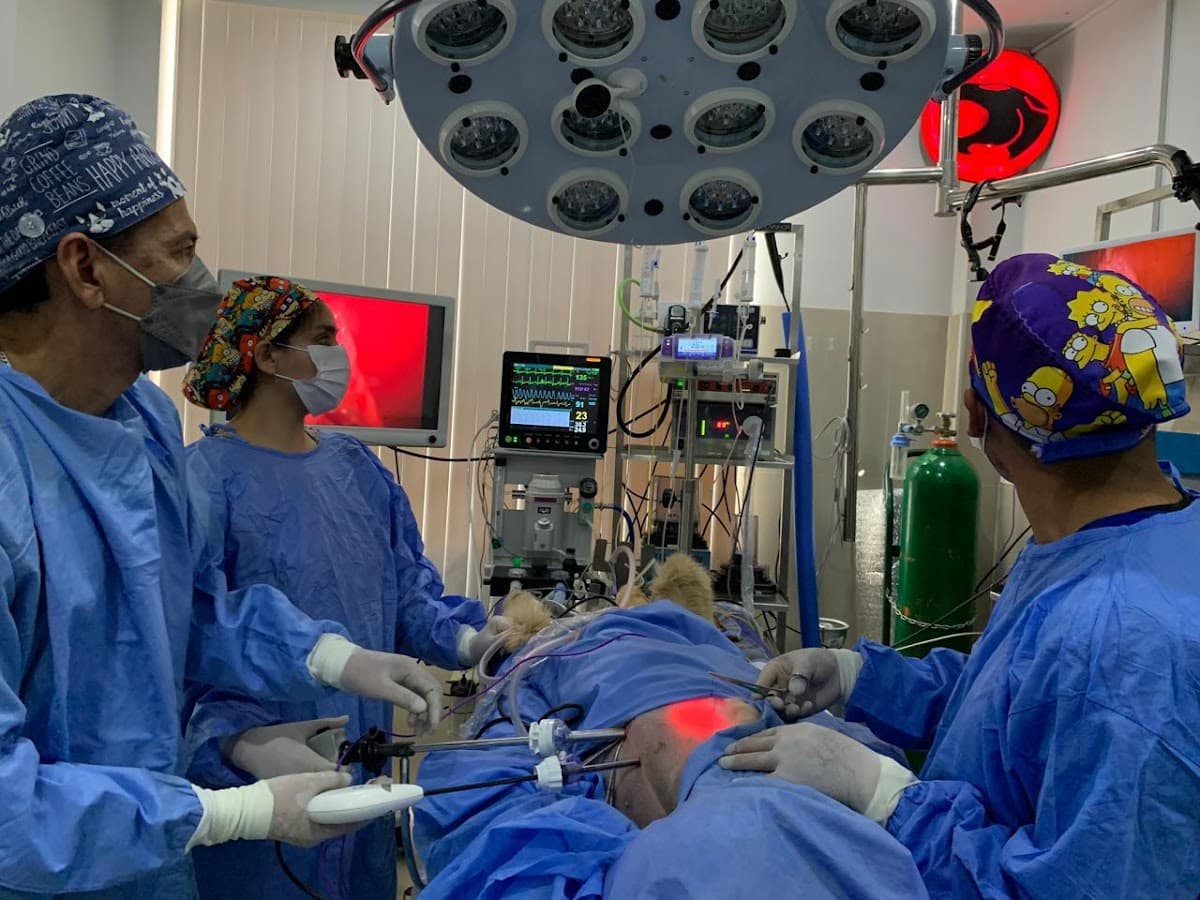 Avant Grand LAPAROSCOPIA Y ENDOSCOPIA VETERINARIA
