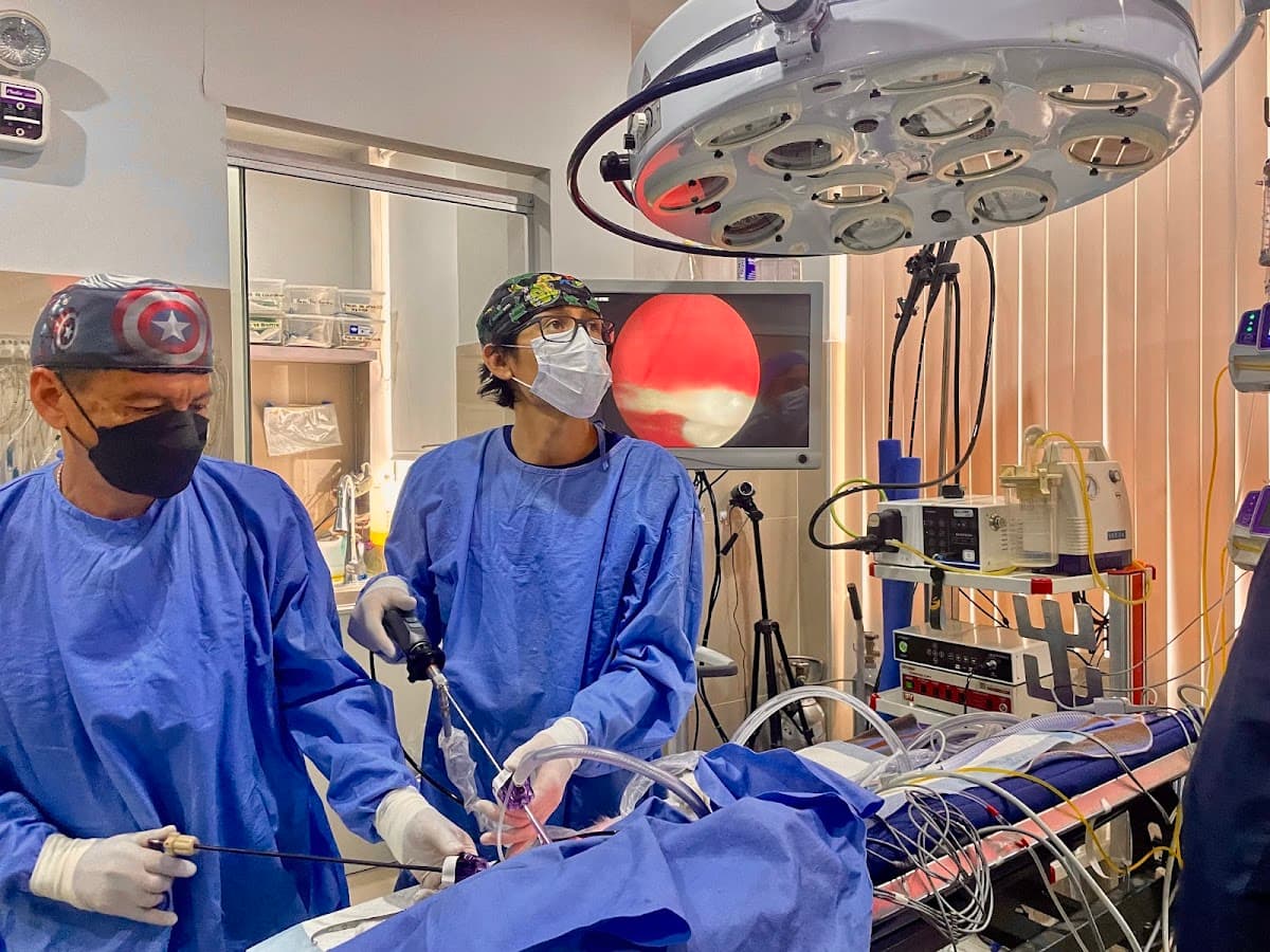 Avant Grand LAPAROSCOPIA Y ENDOSCOPIA VETERINARIA — foto