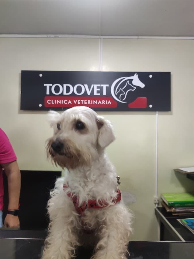 Clínica Veterinaria TODOVET — foto