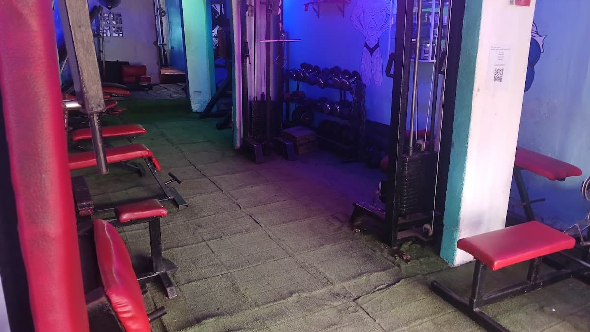 Gym Body Perfect Fitness