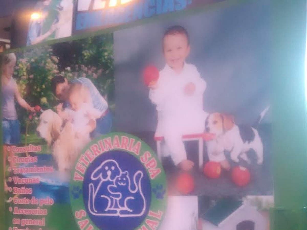 Clínica Spa Mascotas — foto