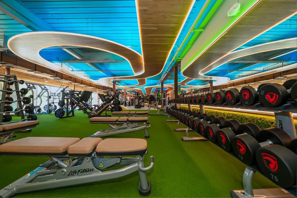 Gymage Miami