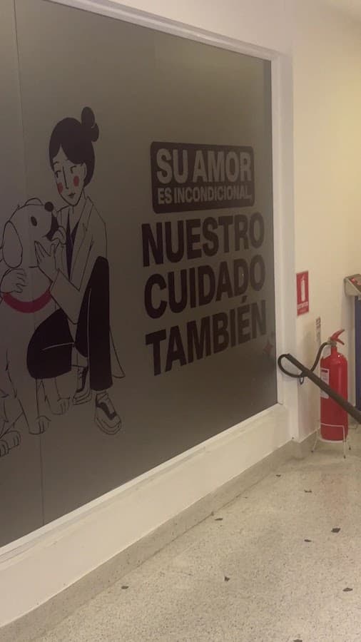 Clínica Veterinaria Movet Calle 80 — foto