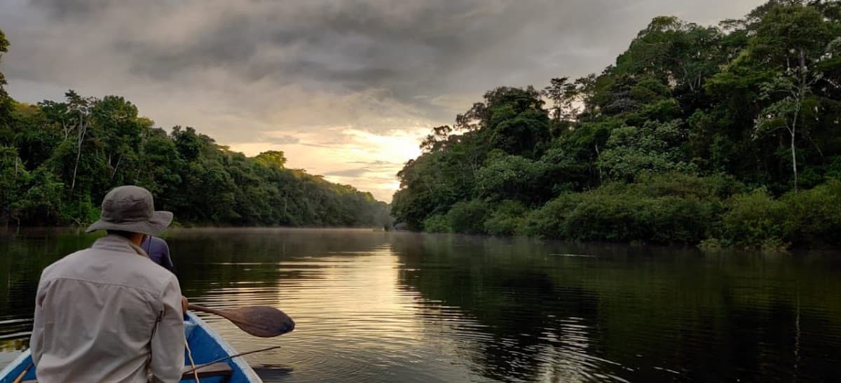 Amazon Green Treasure