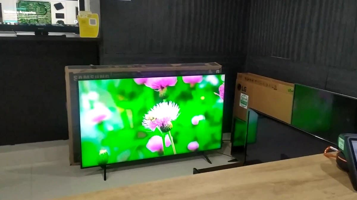 Servitecnoelectronica — foto