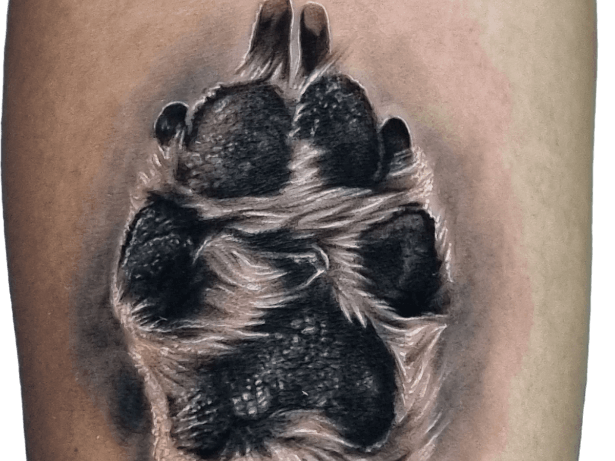 TRIOM Tattoo Studio | Tatuajes Norte de Quito
